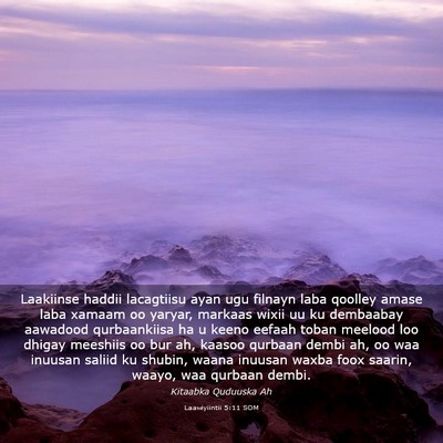 Picture 03 - Laawiyiintii 5:11 SOM - Laakiinse haddii lacagtiisu ayan ugu filnayn laba - Bible Verse Picture