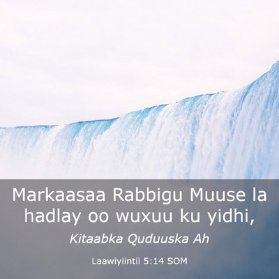 Picture 03 - Laawiyiintii 5:14 SOM - Markaasaa Rabbigu Muuse la hadlay oo wuxuu ku - Bible Verse Picture