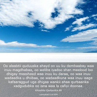 Picture 03 - Laawiyiintii 5:16 SOM - Oo alaabtii quduuska ahayd oo uu ku dembaabay waa - Bible Verse Picture