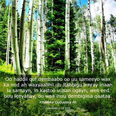 Picture 03 - Laawiyiintii 5:17 SOM - Oo haddii qof dembaabo oo uu sameeyo wax ka mid - Bible Verse Picture