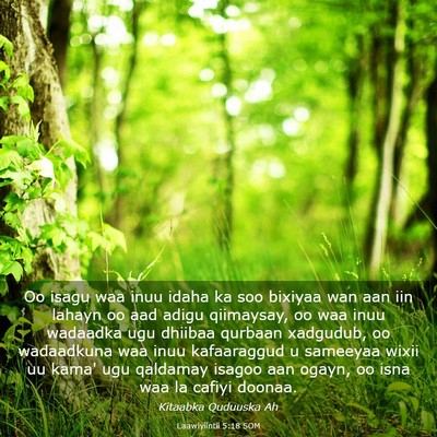 Picture 03 - Laawiyiintii 5:18 SOM - Oo isagu waa inuu idaha ka soo bixiyaa wan aan - Bible Verse Picture
