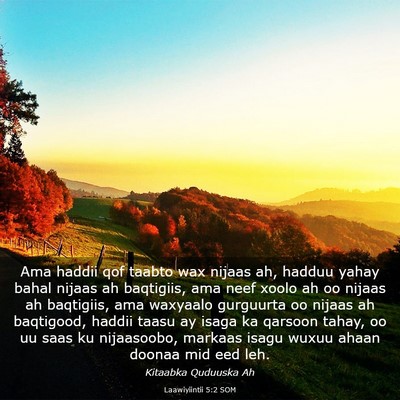 Picture 03 - Laawiyiintii 5:2 SOM - Ama haddii qof taabto wax nijaas ah, hadduu yahay - Bible Verse Picture