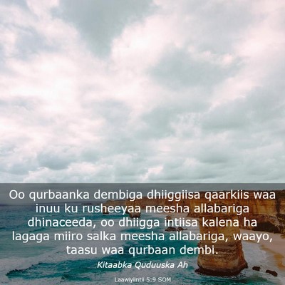 Picture 03 - Laawiyiintii 5:9 SOM - Oo qurbaanka dembiga dhiiggiisa qaarkiis waa inuu - Bible Verse Picture