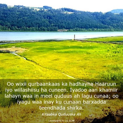 Picture 03 - Laawiyiintii 6:16 SOM - Oo wixii qurbaankaas ka hadhayna Haaruun iyo - Bible Verse Picture