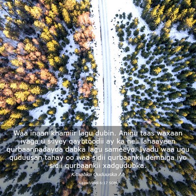 Picture 03 - Laawiyiintii 6:17 SOM - Waa inaan khamiir lagu dubin. Anigu taas waxaan - Bible Verse Picture
