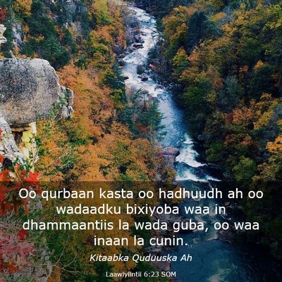 Picture 03 - Laawiyiintii 6:23 SOM - Oo qurbaan kasta oo hadhuudh ah oo wadaadku - Bible Verse Picture