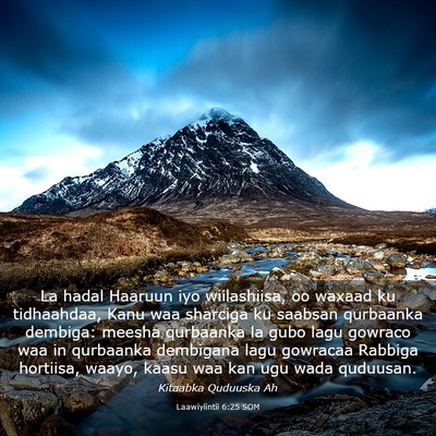 Picture 03 - Laawiyiintii 6:25 SOM - La hadal Haaruun iyo wiilashiisa, oo waxaad ku - Bible Verse Picture