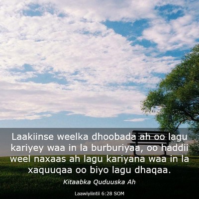 Picture 03 - Laawiyiintii 6:28 SOM - Laakiinse weelka dhoobada ah oo lagu kariyey waa - Bible Verse Picture