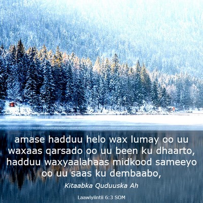 Picture 03 - Laawiyiintii 6:3 SOM - amase hadduu helo wax lumay oo uu waxaas qarsado - Bible Verse Picture