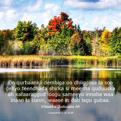 Picture 03 - Laawiyiintii 6:30 SOM - Oo qurbaankii dembiga oo dhiiggiisa la soo geliyo - Bible Verse Picture