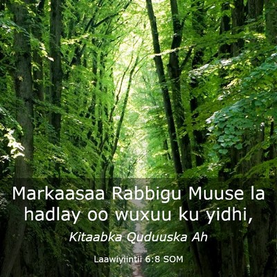 Picture 03 - Laawiyiintii 6:8 SOM - Markaasaa Rabbigu Muuse la hadlay oo wuxuu ku - Bible Verse Picture