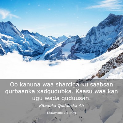 Picture 03 - Laawiyiintii 7:1 SOM - Oo kanuna waa sharciga ku saabsan qurbaanka - Bible Verse Picture
