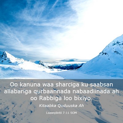 Picture 03 - Laawiyiintii 7:11 SOM - Oo kanuna waa sharciga ku saabsan allabariga - Bible Verse Picture