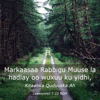 Picture 03 - Laawiyiintii 7:22 SOM - Markaasaa Rabbigu Muuse la hadlay oo wuxuu ku - Bible Verse Picture