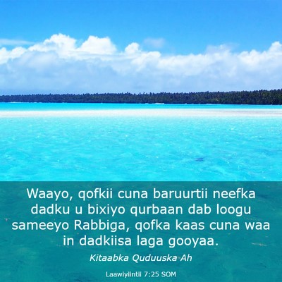 Picture 03 - Laawiyiintii 7:25 SOM - Waayo, qofkii cuna baruurtii neefka dadku u - Bible Verse Picture