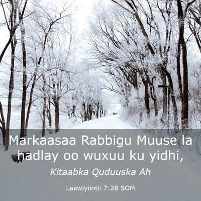 Picture 03 - Laawiyiintii 7:28 SOM - Markaasaa Rabbigu Muuse la hadlay oo wuxuu ku - Bible Verse Picture