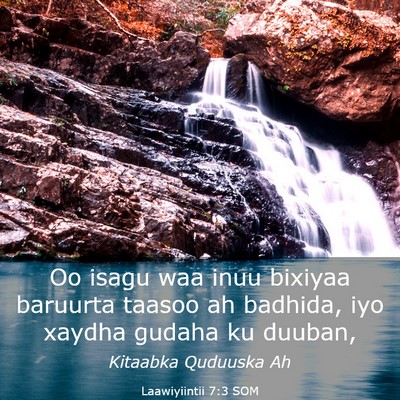 Picture 03 - Laawiyiintii 7:3 SOM - Oo isagu waa inuu bixiyaa baruurta taasoo ah - Bible Verse Picture
