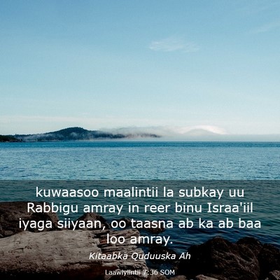 Picture 03 - Laawiyiintii 7:36 SOM - kuwaasoo maalintii la subkay uu Rabbigu amray in - Bible Verse Picture
