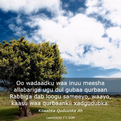 Picture 03 - Laawiyiintii 7:5 SOM - Oo wadaadku waa inuu meesha allabariga ugu dul - Bible Verse Picture