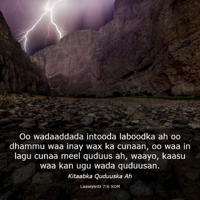Picture 03 - Laawiyiintii 7:6 SOM - Oo wadaaddada intooda laboodka ah oo dhammu waa - Bible Verse Picture