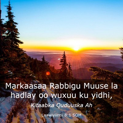 Picture 03 - Laawiyiintii 8:1 SOM - Markaasaa Rabbigu Muuse la hadlay oo wuxuu ku - Bible Verse Picture