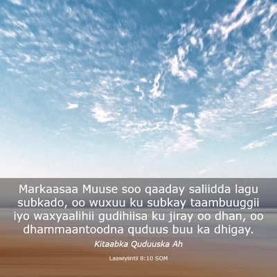 Picture 03 - Laawiyiintii 8:10 SOM - Markaasaa Muuse soo qaaday saliidda lagu subkado, - Bible Verse Picture