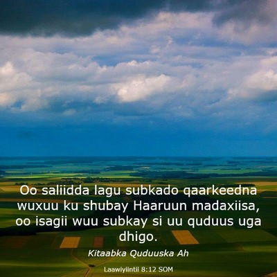 Picture 03 - Laawiyiintii 8:12 SOM - Oo saliidda lagu subkado qaarkeedna wuxuu ku - Bible Verse Picture