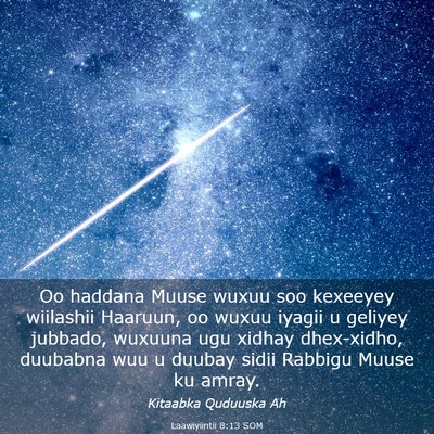 Picture 03 - Laawiyiintii 8:13 SOM - Oo haddana Muuse wuxuu soo kexeeyey wiilashii - Bible Verse Picture