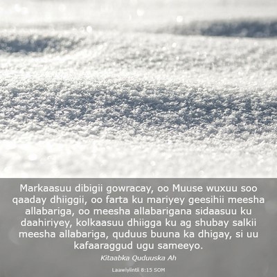 Picture 03 - Laawiyiintii 8:15 SOM - Markaasuu dibigii gowracay, oo Muuse wuxuu soo - Bible Verse Picture