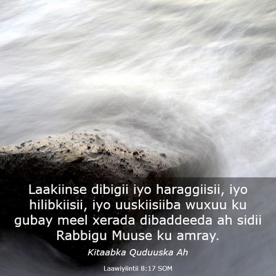 Picture 03 - Laawiyiintii 8:17 SOM - Laakiinse dibigii iyo haraggiisii, iyo - Bible Verse Picture