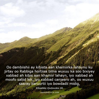 Picture 03 - Laawiyiintii 8:26 SOM - Oo dambiishii ay kibista aan khamiirka lahaynu ku - Bible Verse Picture