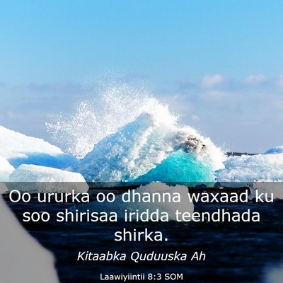 Picture 03 - Laawiyiintii 8:3 SOM - Oo ururka oo dhanna waxaad ku soo shirisaa iridda - Bible Verse Picture