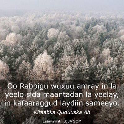 Picture 03 - Laawiyiintii 8:34 SOM - Oo Rabbigu wuxuu amray in la yeelo sida maantadan - Bible Verse Picture
