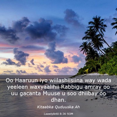 Picture 03 - Laawiyiintii 8:36 SOM - Oo Haaruun iyo wiilashiisiina way wada yeeleen - Bible Verse Picture
