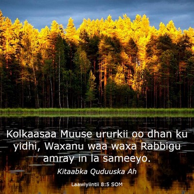 Picture 03 - Laawiyiintii 8:5 SOM - Kolkaasaa Muuse ururkii oo dhan ku yidhi, Waxanu - Bible Verse Picture