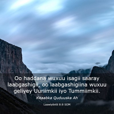 Picture 03 - Laawiyiintii 8:8 SOM - Oo haddana wuxuu isagii saaray laabgashigii, oo - Bible Verse Picture