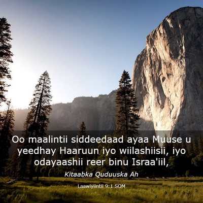 Picture 03 - Laawiyiintii 9:1 SOM - Oo maalintii siddeedaad ayaa Muuse u yeedhay - Bible Verse Picture