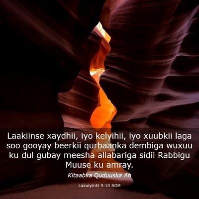 Picture 03 - Laawiyiintii 9:10 SOM - Laakiinse xaydhii, iyo kelyihii, iyo xuubkii laga - Bible Verse Picture