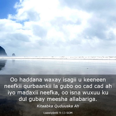 Picture 03 - Laawiyiintii 9:13 SOM - Oo haddana waxay isagii u keeneen neefkii - Bible Verse Picture