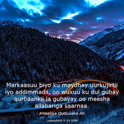 Picture 03 - Laawiyiintii 9:14 SOM - Markaasuu biyo ku maydhay uurkujirtii iyo - Bible Verse Picture