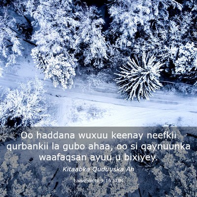 Picture 03 - Laawiyiintii 9:16 SOM - Oo haddana wuxuu keenay neefkii qurbankii la gubo - Bible Verse Picture