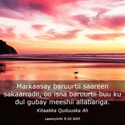 Picture 03 - Laawiyiintii 9:20 SOM - Markaasay baruurtii saareen sakaarradii, oo isna - Bible Verse Picture