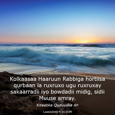 Picture 03 - Laawiyiintii 9:21 SOM - Kolkaasaa Haaruun Rabbiga hortiisa qurbaan la - Bible Verse Picture