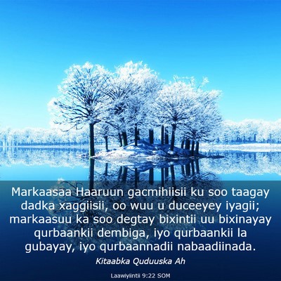 Picture 03 - Laawiyiintii 9:22 SOM - Markaasaa Haaruun gacmihiisii ku soo taagay dadka - Bible Verse Picture