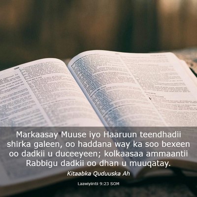 Picture 03 - Laawiyiintii 9:23 SOM - Markaasay Muuse iyo Haaruun teendhadii shirka - Bible Verse Picture