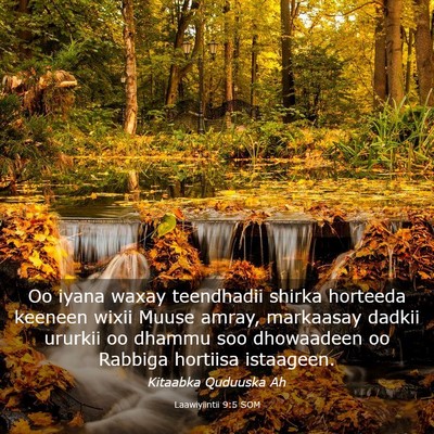 Picture 03 - Laawiyiintii 9:5 SOM - Oo iyana waxay teendhadii shirka horteeda keeneen - Bible Verse Picture