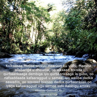Picture 03 - Laawiyiintii 9:7 SOM - Kolkaasaa Muuse wuxuu Haaruun ku yidhi, Meesha - Bible Verse Picture