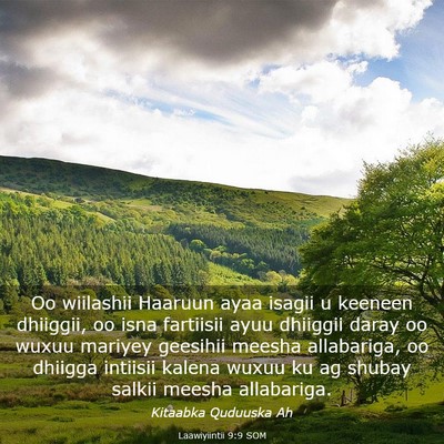 Picture 03 - Laawiyiintii 9:9 SOM - Oo wiilashii Haaruun ayaa isagii u keeneen - Bible Verse Picture