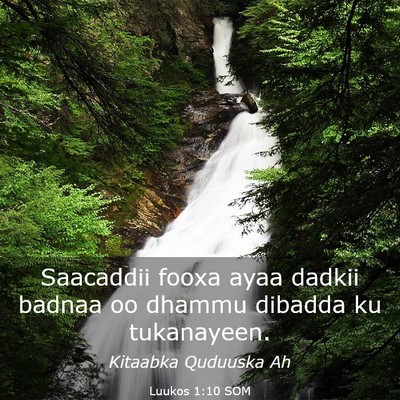 Picture 03 - Luukos 1:10 SOM - Saacaddii fooxa ayaa dadkii badnaa oo dhammu - Bible Verse Picture