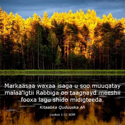 Picture 03 - Luukos 1:11 SOM - Markaasaa waxaa isaga u soo muuqatay malaa'igtii - Bible Verse Picture